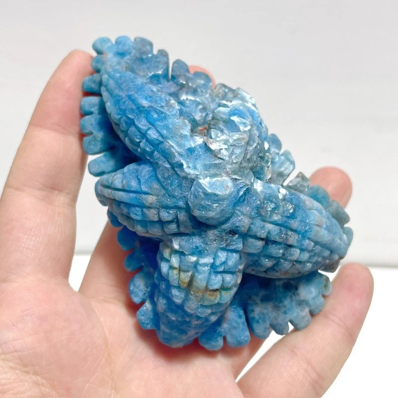 5 Pieces Apatite Sea Animals Carving - Image 6