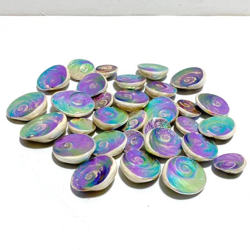 Aura Shell Fossil Wholesale - Image 2