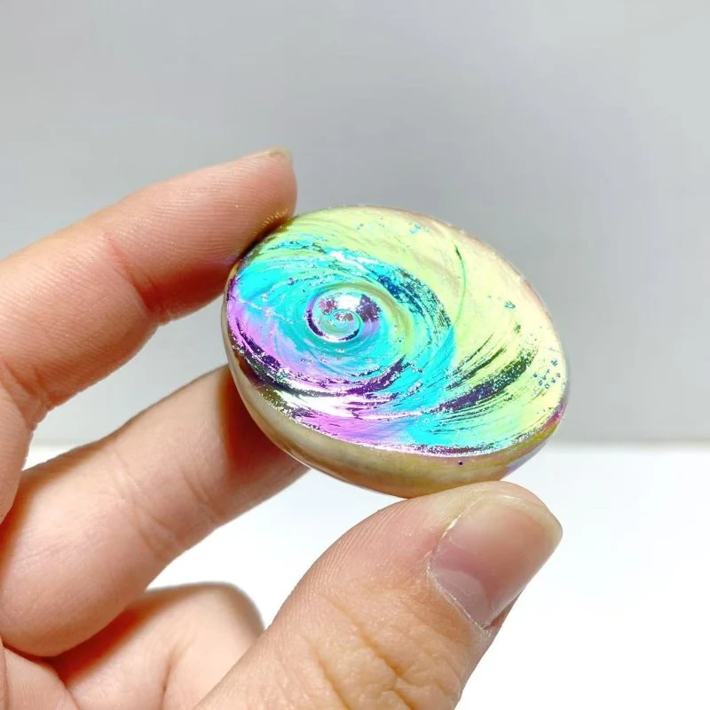 Aura Shell Fossil Wholesale - Image 3