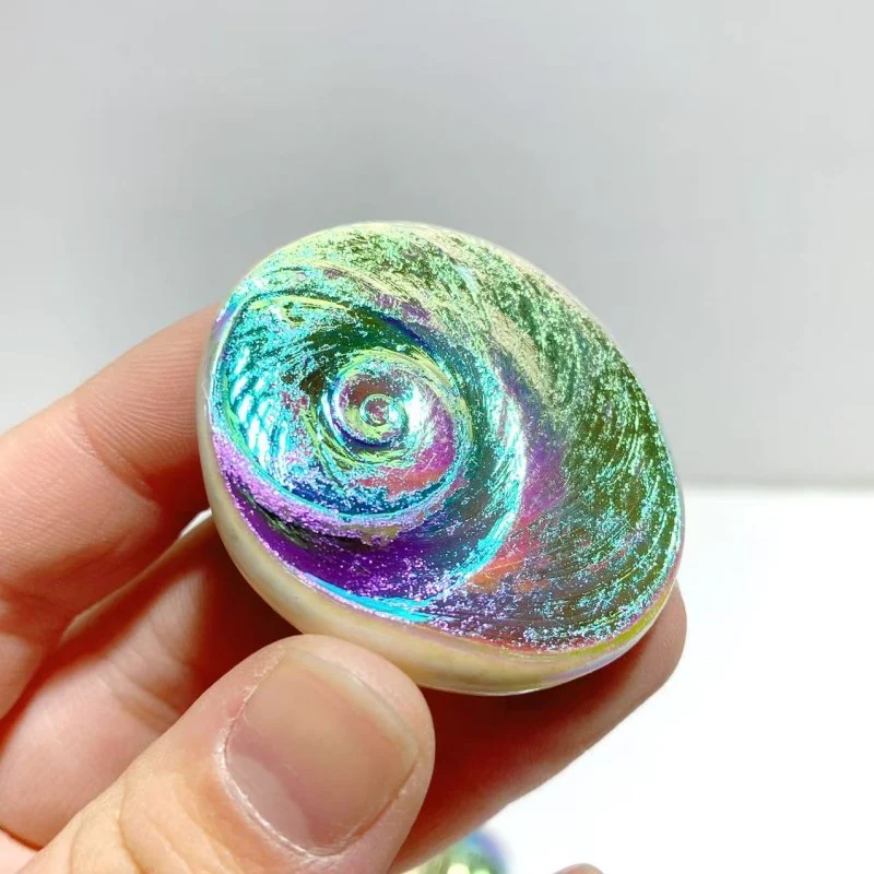 Aura Shell Fossil Wholesale - Image 5