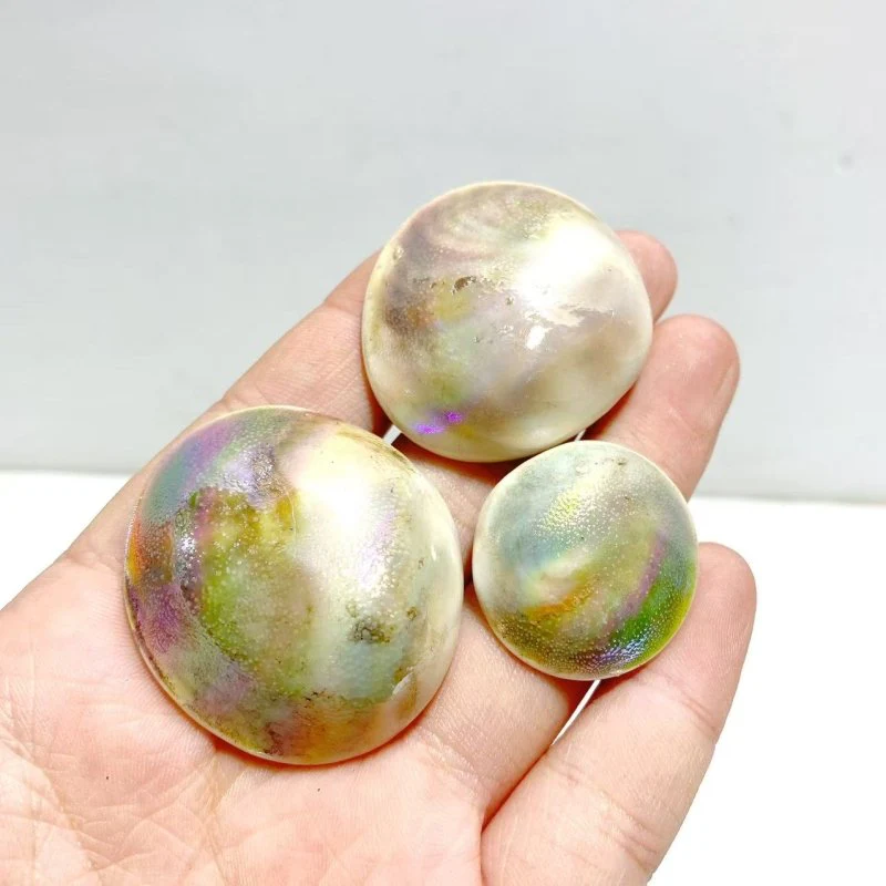 Aura Shell Fossil Wholesale - Image 6