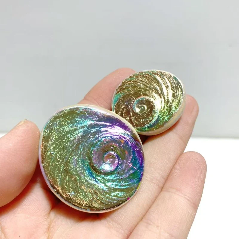 Aura Shell Fossil Wholesale - Image 7