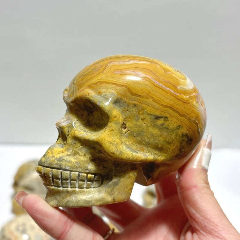 9 Pieces Beautiful Crazy Agate Skull Carving - Image 2