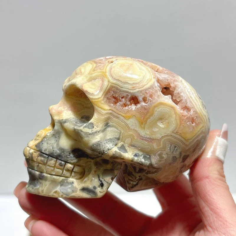 9 Pieces Beautiful Crazy Agate Skull Carving - Image 5