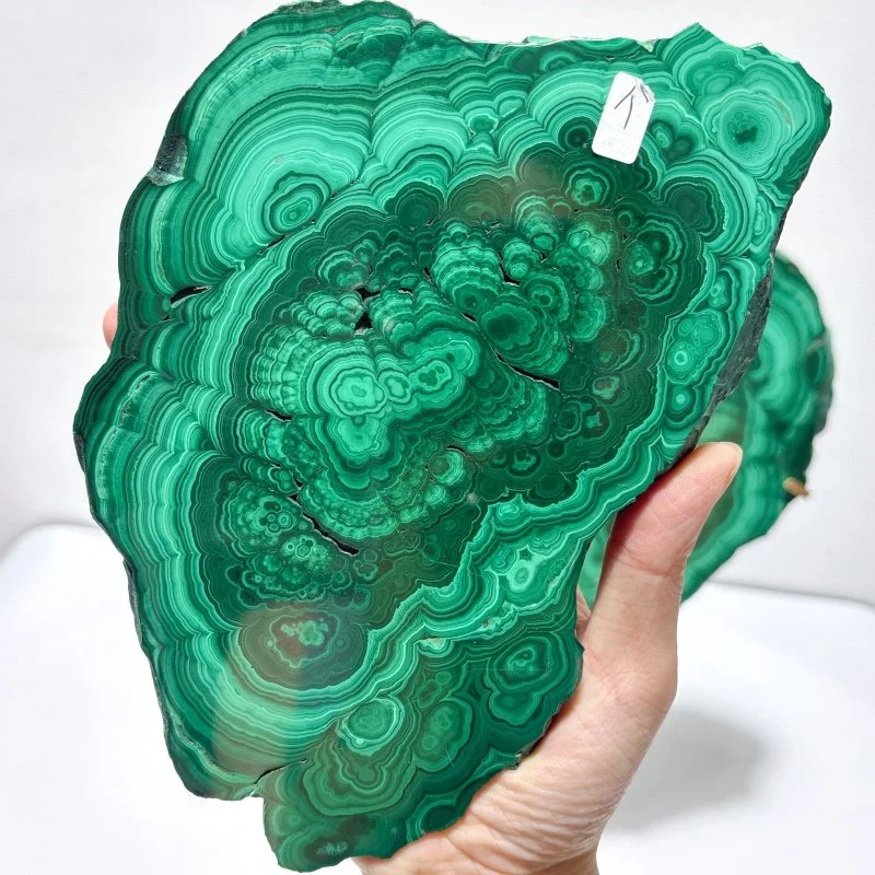 Beautiful Large Polished Malachite Raw Slab Butterfly Wing With Stand (#6) - Image 4