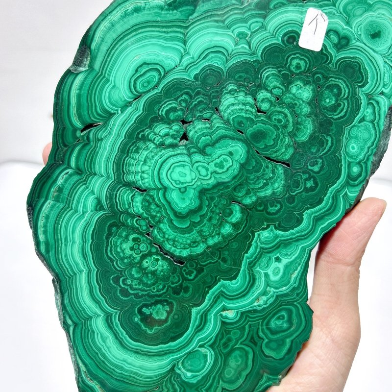 Beautiful Large Polished Malachite Raw Slab Butterfly Wing With Stand (#6) - Image 5