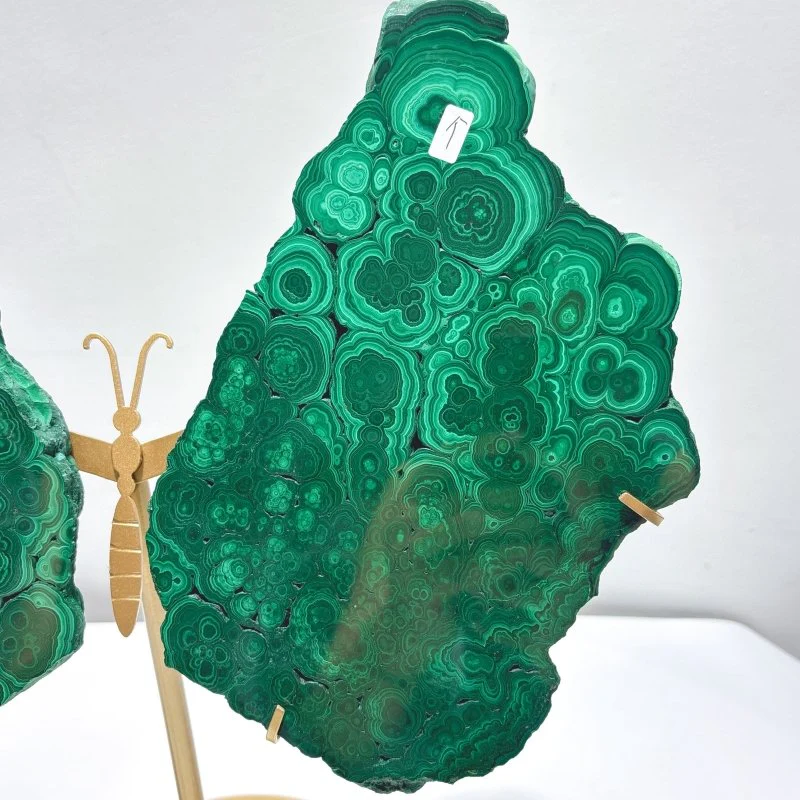 Large Polished Malachite Raw Slab Butterfly Wing With Stand (#2) - Image 3