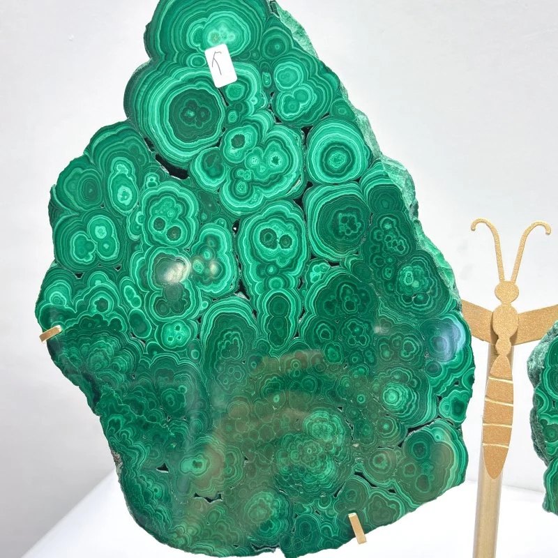 Large Polished Malachite Raw Slab Butterfly Wing With Stand (#2) - Image 4