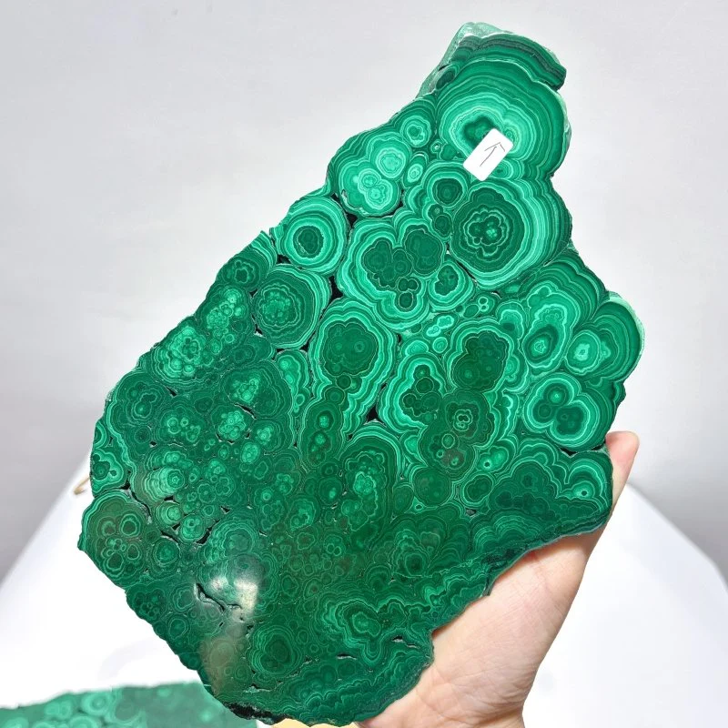 Large Polished Malachite Raw Slab Butterfly Wing With Stand (#2) - Image 5