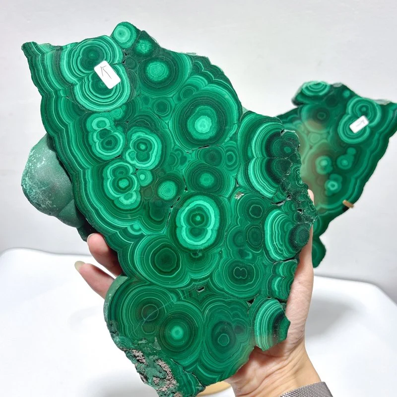 Large Polished Malachite Raw Slab Butterfly Wing With Stand(#8) - Image 5