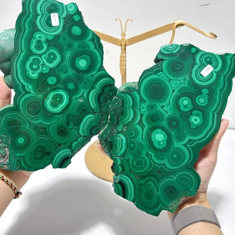 Large Polished Malachite Raw Slab Butterfly Wing With Stand(#8) - Image 6