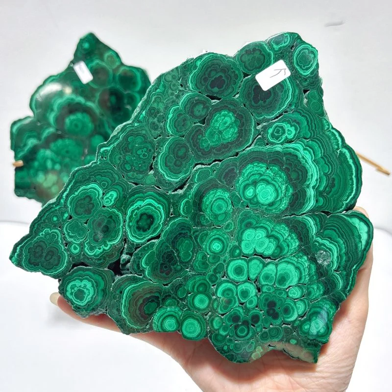 Polished Malachite Raw Slab Butterfly Wing With Stand (#9) - Image 3