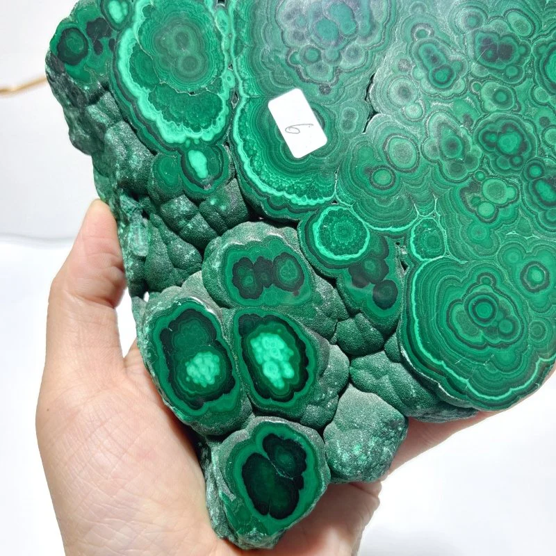 Polished Malachite Raw Slab Butterfly Wing With Stand (#9) - Image 6