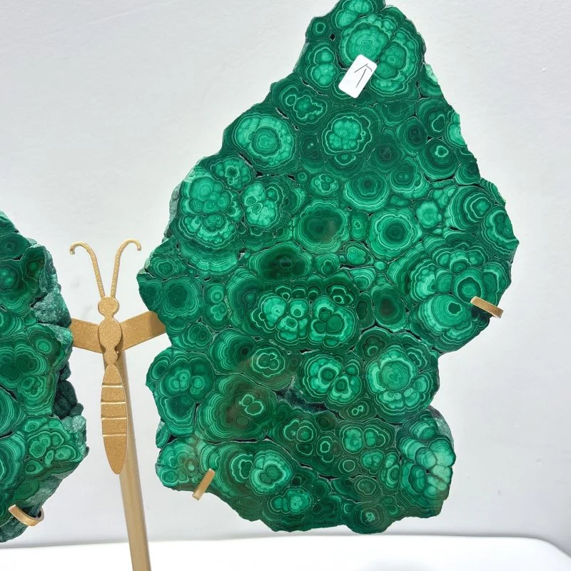 Beautiful Large Polished Malachite Raw Slab Butterfly Wing With Stand (#7) - Image 2