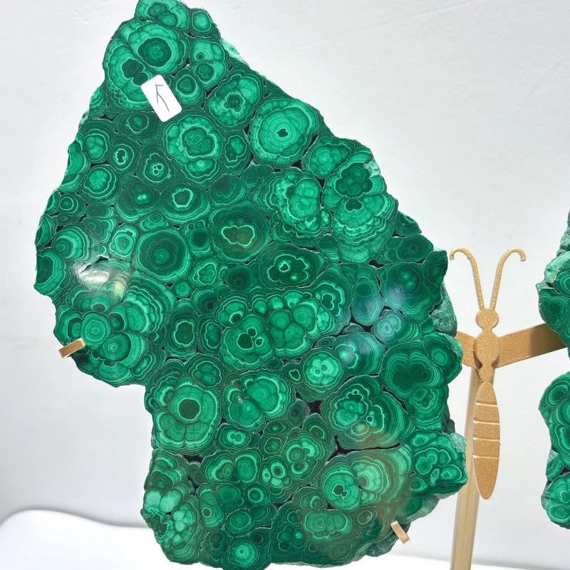 Beautiful Large Polished Malachite Raw Slab Butterfly Wing With Stand (#7) - Image 3