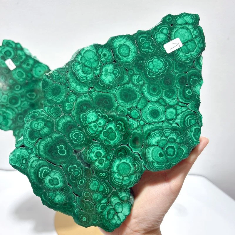Beautiful Large Polished Malachite Raw Slab Butterfly Wing With Stand (#7) - Image 4