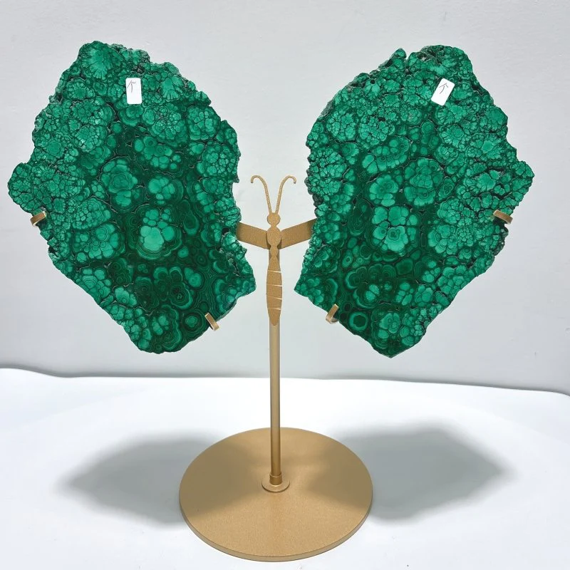 Large Polished Malachite Raw Slab Butterfly Wing With Stand (#4)