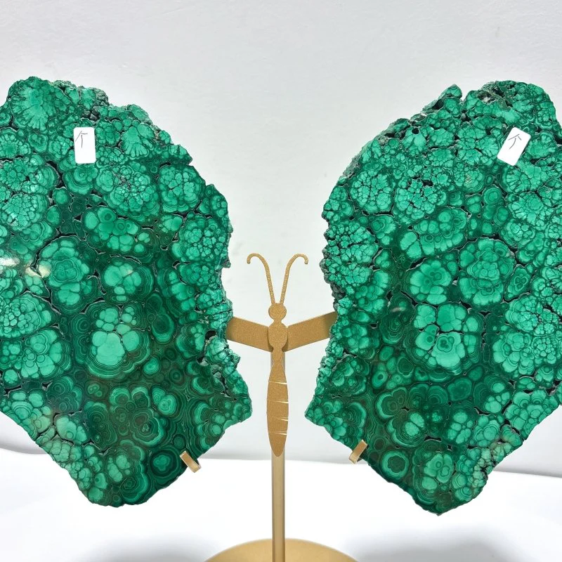 Large Polished Malachite Raw Slab Butterfly Wing With Stand (#4) - Image 2