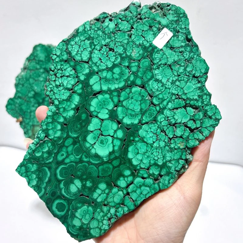 Large Polished Malachite Raw Slab Butterfly Wing With Stand (#4) - Image 3