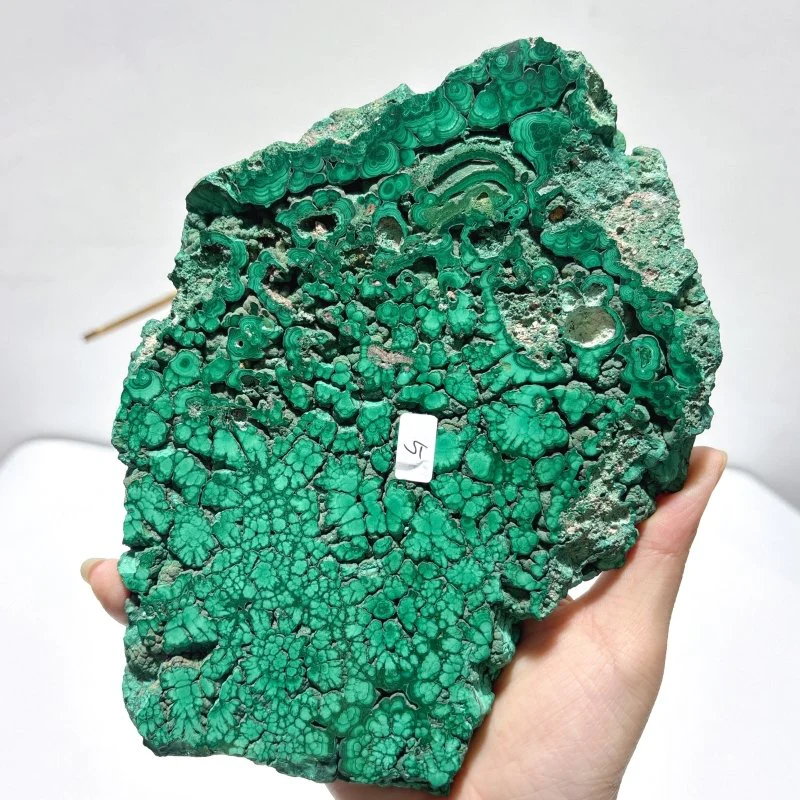 Large Polished Malachite Raw Slab Butterfly Wing With Stand (#4) - Image 5