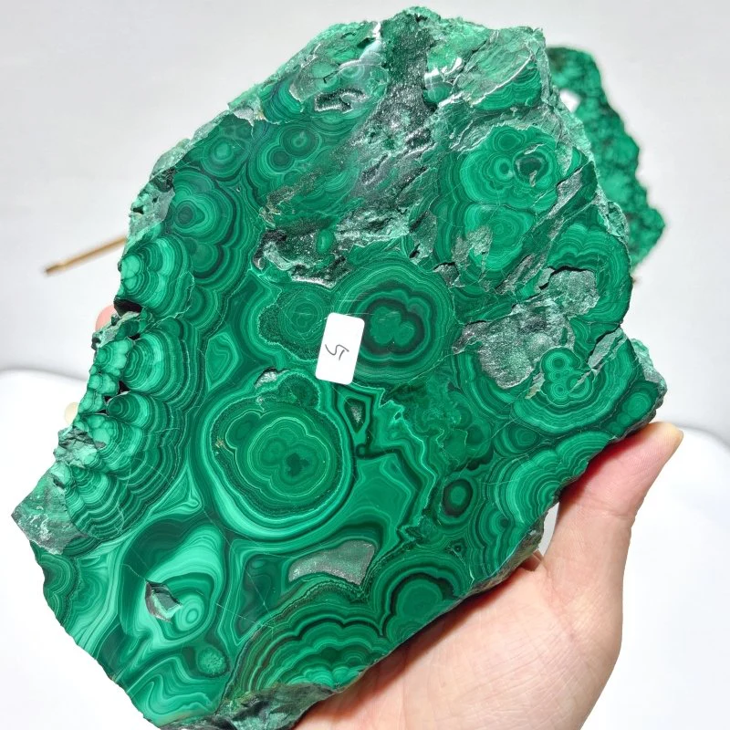 Large Polished Malachite Raw Slab Butterfly Wing With Stand (#4) - Image 6