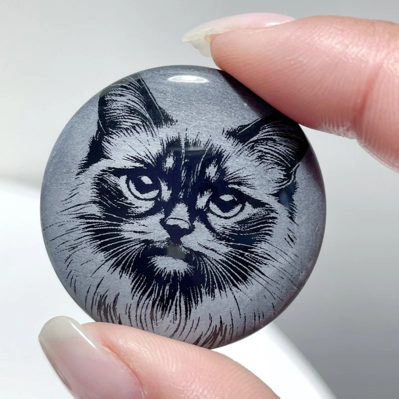 Black Obsidian Engraved Cat Round Slices DIY Accessories Wholesale - Image 4