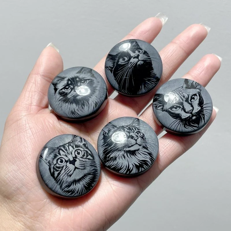 Black Obsidian Engraved Cat Round Slices DIY Accessories Wholesale - Image 7