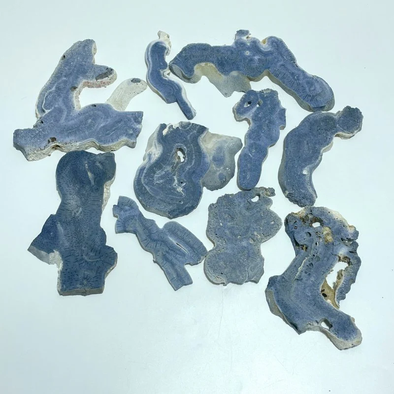 Blue Ridge Coral Slab Heliopora Coerulea Slab Wholesale - Image 3