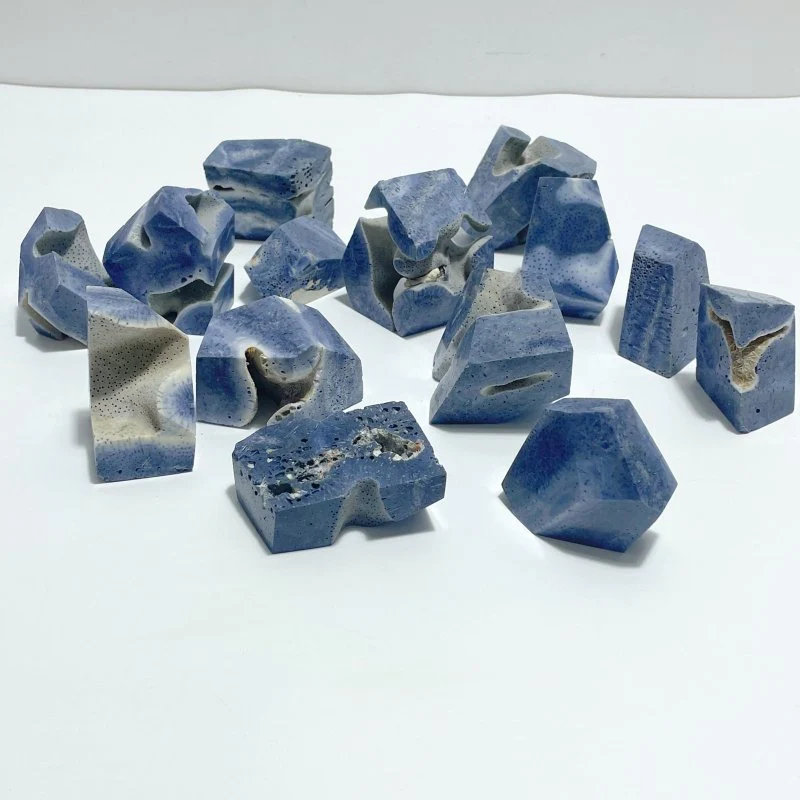 Blue Ridge Coral Free Form Heliopora Coerulea Wholesale