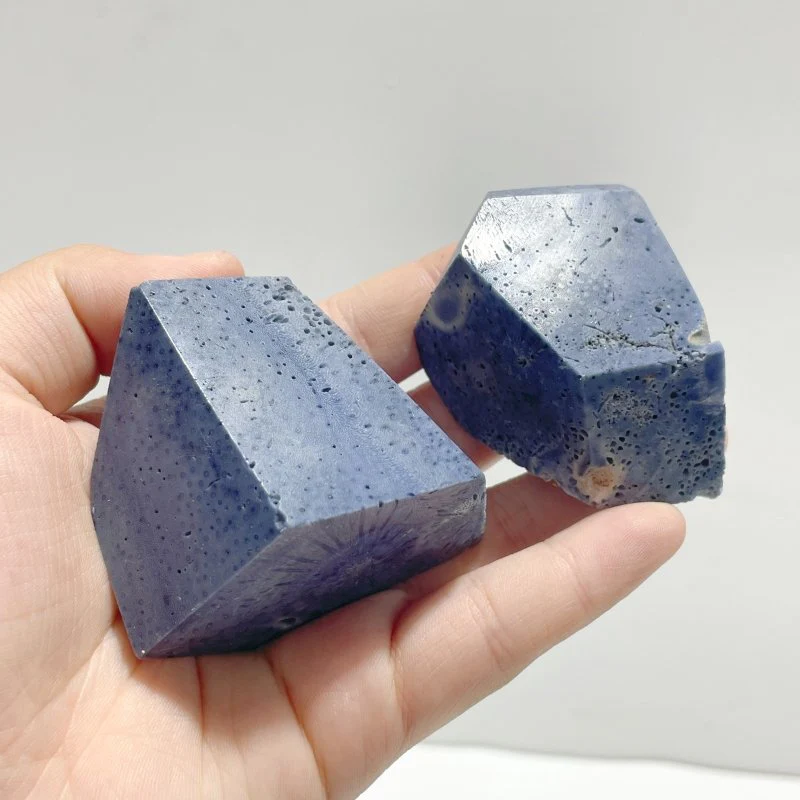 Blue Ridge Coral Free Form Heliopora Coerulea Wholesale - Image 5