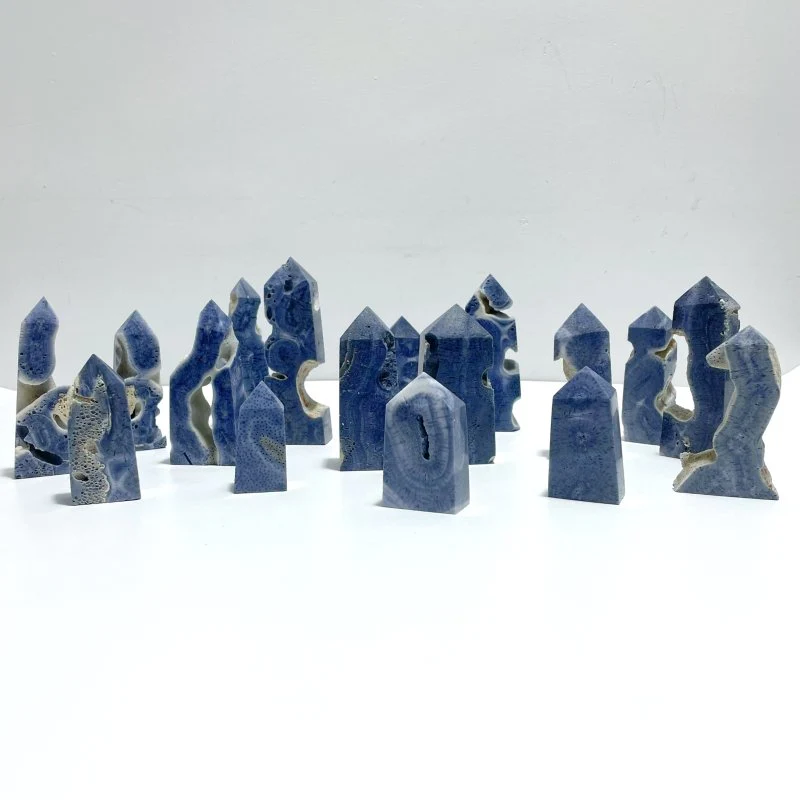 Blue Ridge Coral Heliopora Coerule Tower Point Wholesale