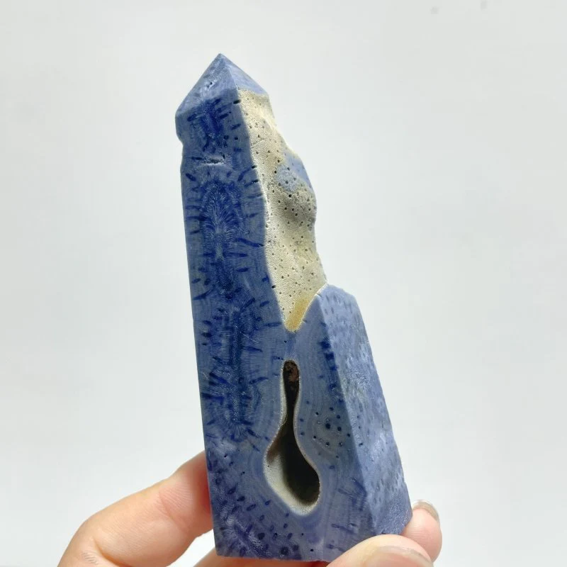 Blue Ridge Coral Heliopora Coerule Tower Point Wholesale - Image 3