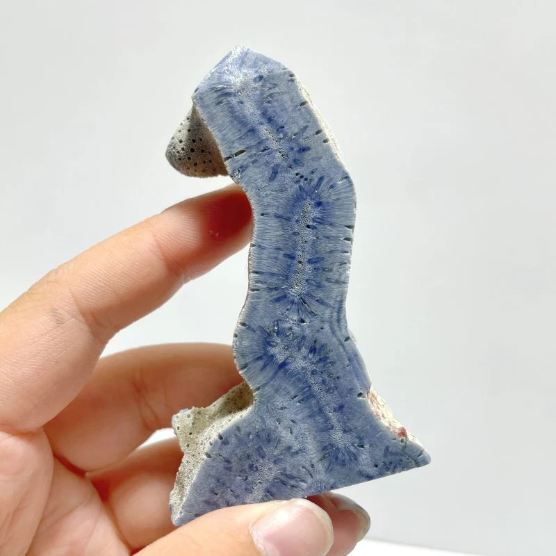 Blue Ridge Coral Heliopora Coerule Tower Point Wholesale - Image 5