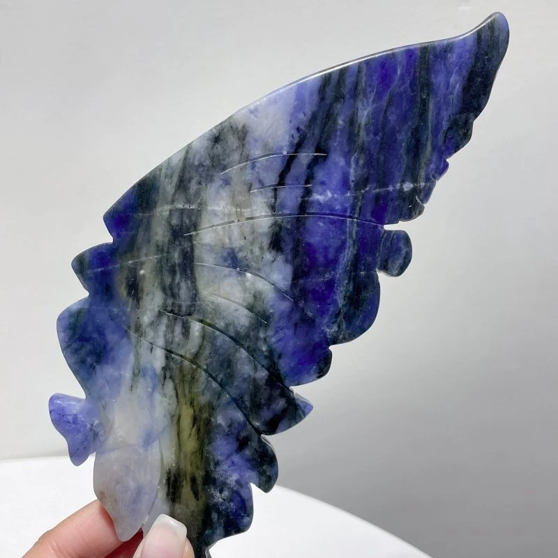 Blue Sodalite Butterfly Wing Carving With Stand - Image 4
