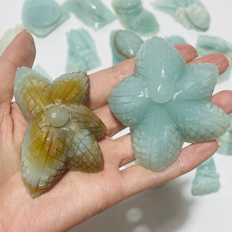 19 Pieces Caribbean Calcite Marine Animals Carving - Image 2