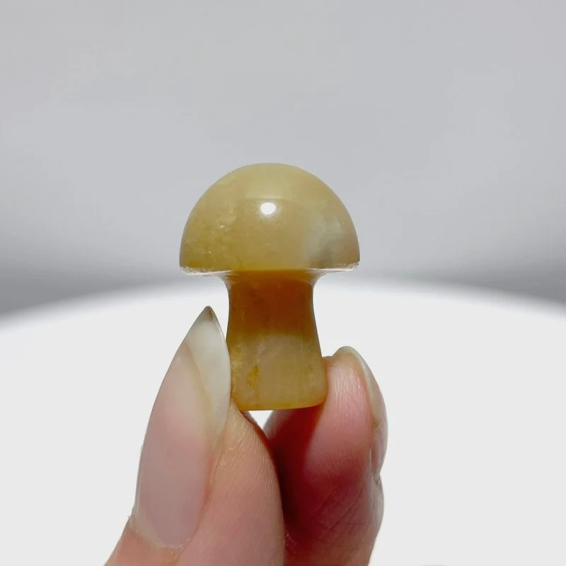 330 Pieces Caribbean Calcite Mini Mushroom Closeout - Image 5