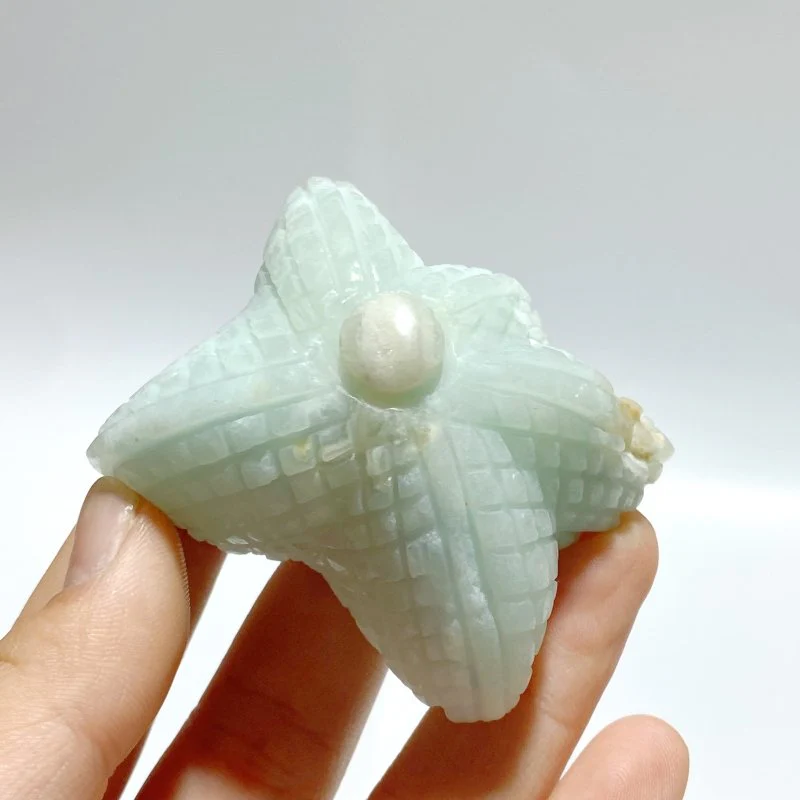 39 Pieces Caribbean Calcite Sea Animals Carving - Image 5