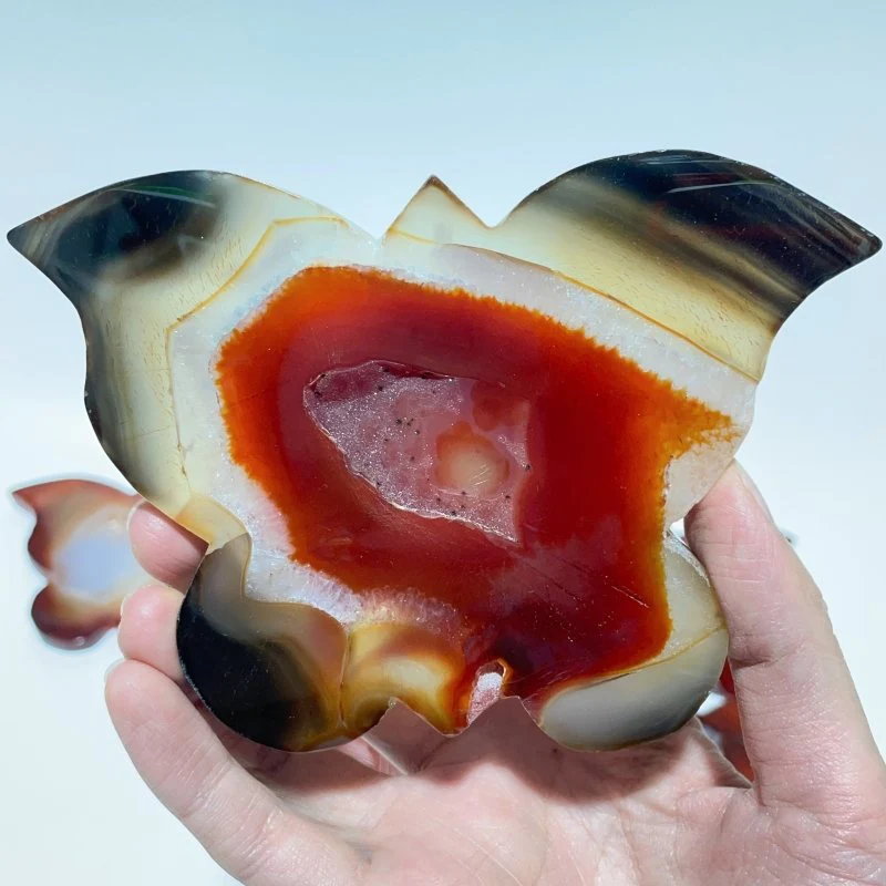11 Pieces Carnelian Geode Druzy Butterfly Carving - Image 3
