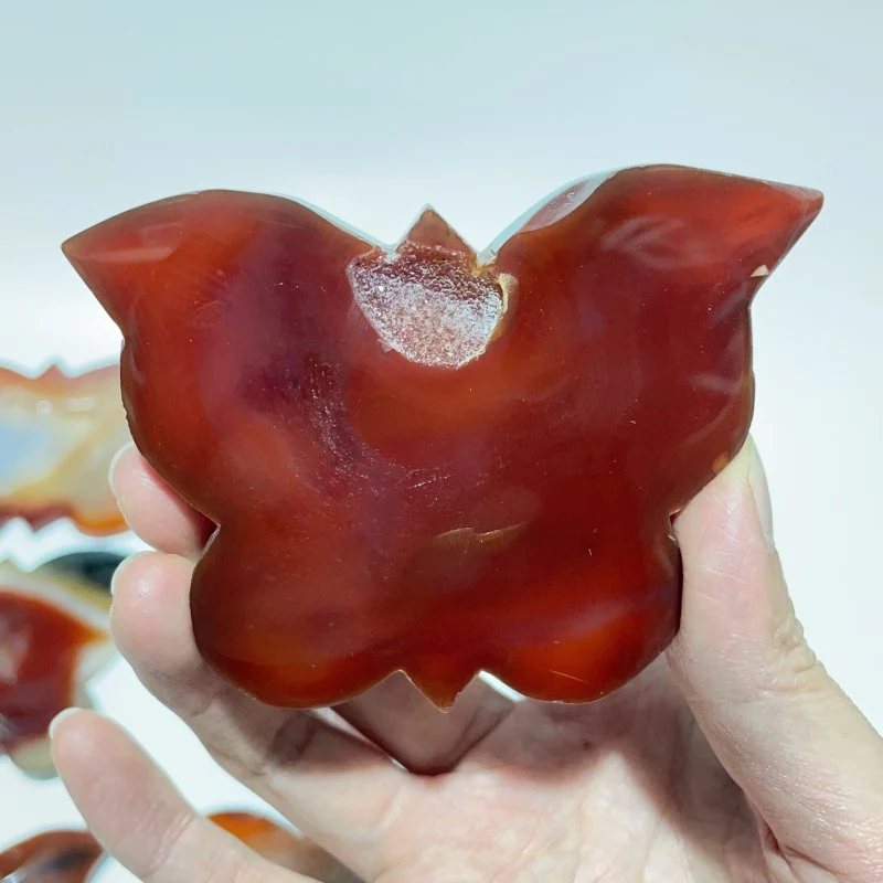 11 Pieces Carnelian Geode Druzy Butterfly Carving - Image 4