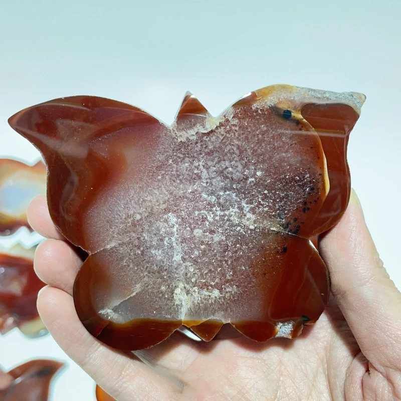 11 Pieces Carnelian Geode Druzy Butterfly Carving - Image 6