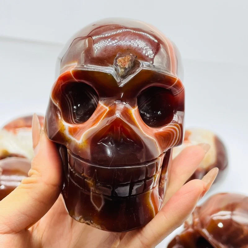 10 Pieces Carnelian Large Skull Carving - Image 8