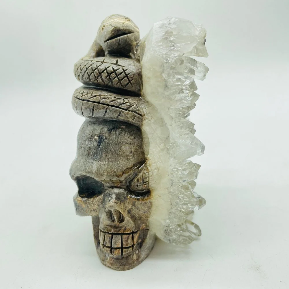 Clear Quartz Cluster Snake Skull Carving