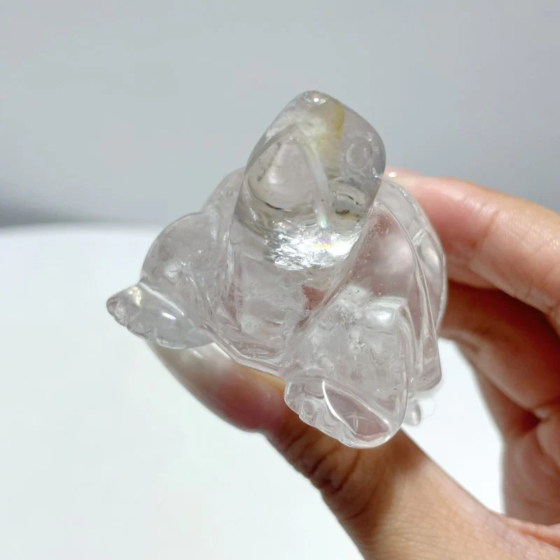 9 Pieces Clear Quartz Turtle Carving - Image 4