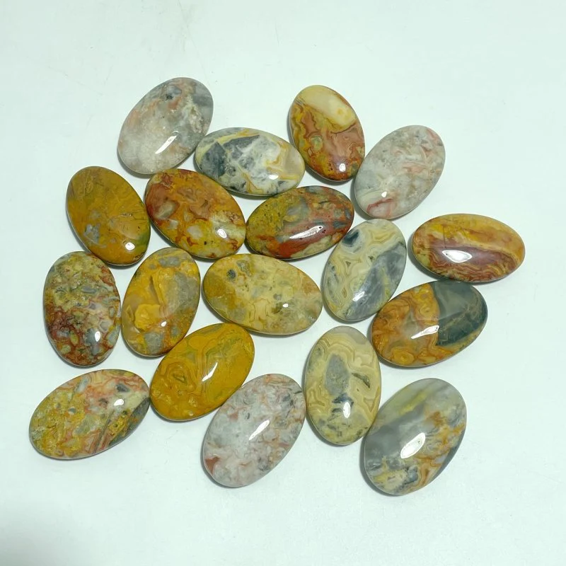 Crazy Agate Palm Wholesale