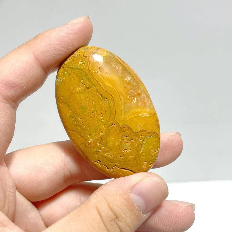 Crazy Agate Palm Wholesale - Image 2