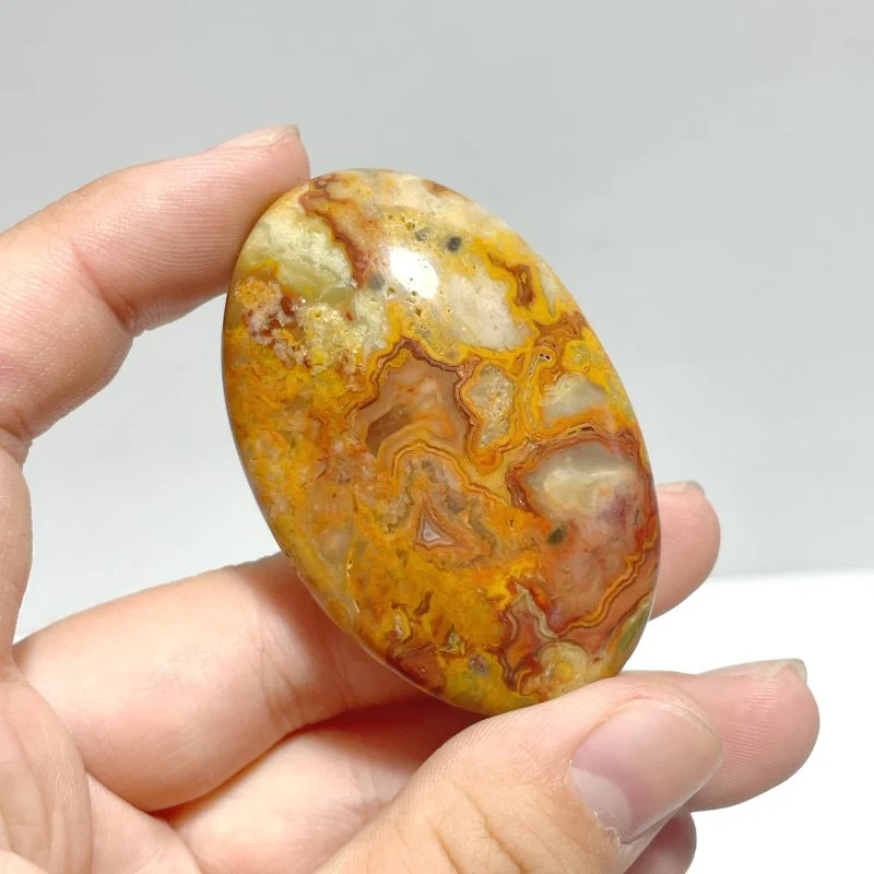 Crazy Agate Palm Wholesale - Image 3