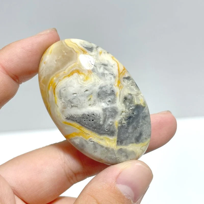Crazy Agate Palm Wholesale - Image 4