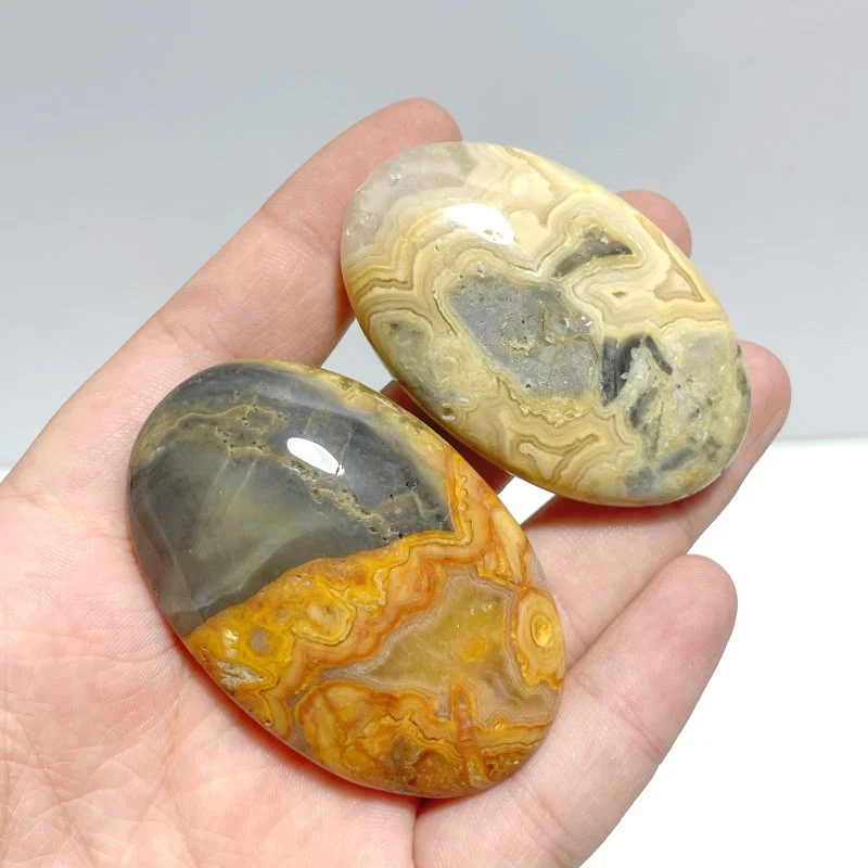 Crazy Agate Palm Wholesale - Image 5