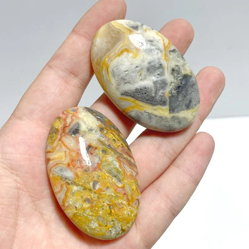 Crazy Agate Palm Wholesale - Image 6