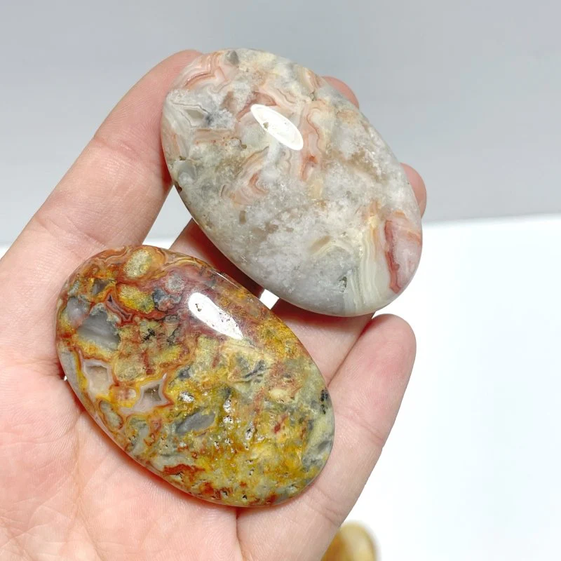 Crazy Agate Palm Wholesale - Image 7